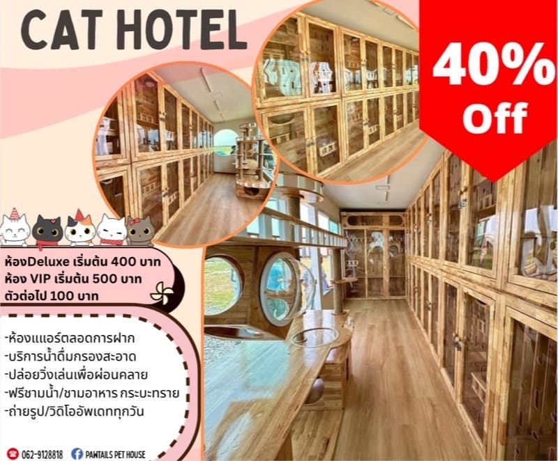 Cat Hotel 40% OFF Promo