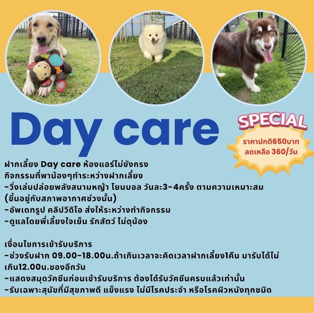 Day Care Special Discount Promo
