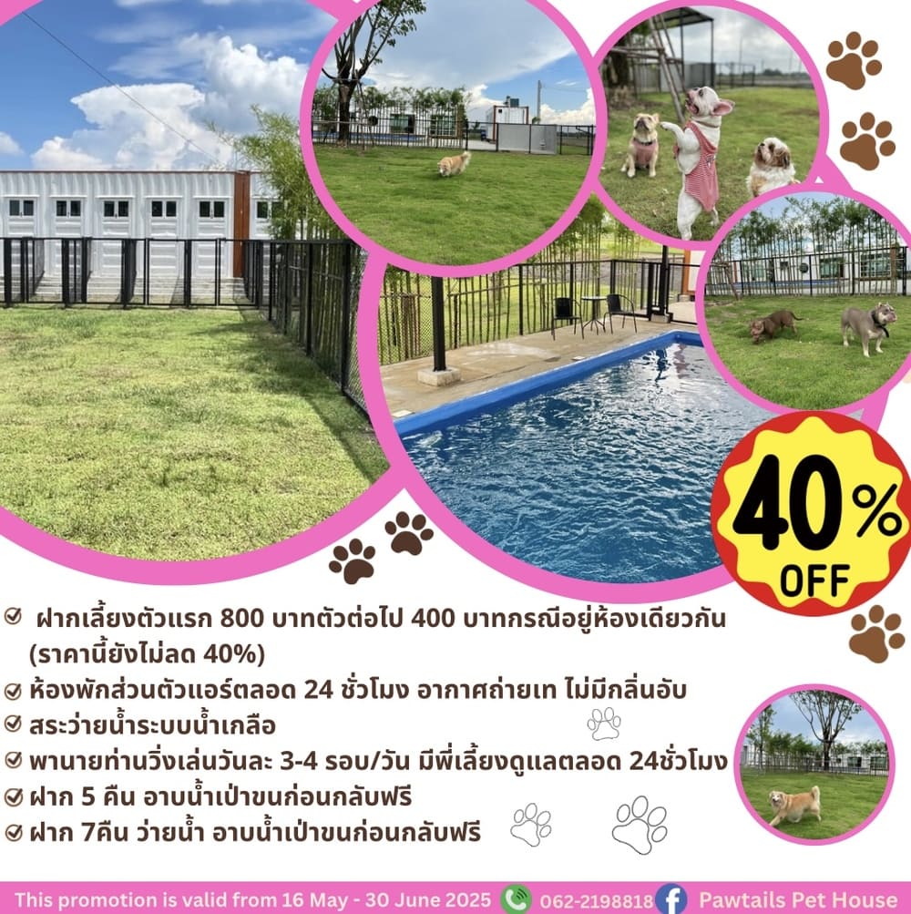 Special Discount Promo